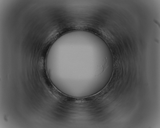 X0000093460744200710120949