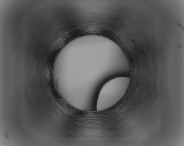 X0000093460746200710120949