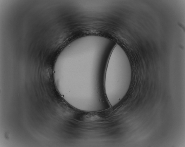 X0000093460747200710120949