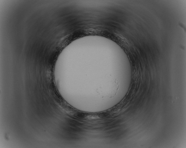 X0000093460749200710120949