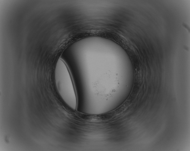 X0000093460750200710120949