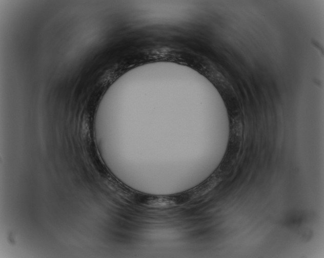 X0000093460754200710120949