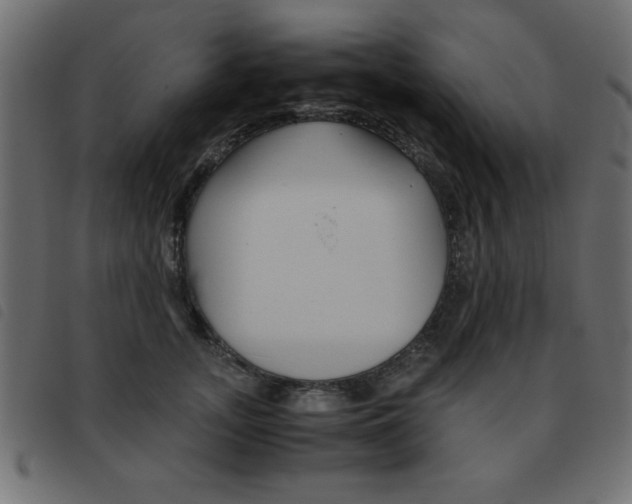 X0000093460755200710120949