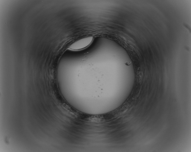 X0000093460756200710120949