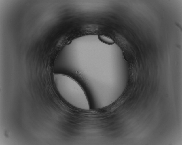 X0000093460758200710120949