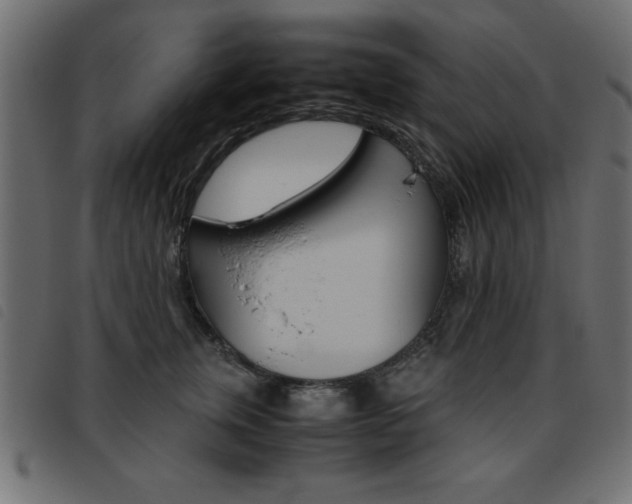 X0000093460759200710120949
