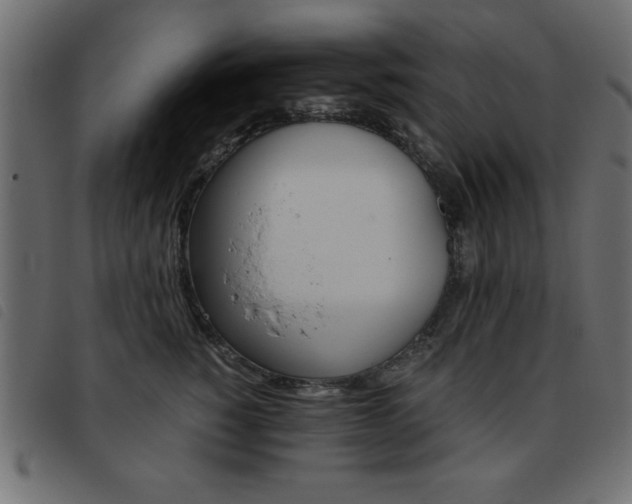 X0000093460760200710120949