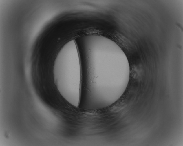 X0000093460763200710120950