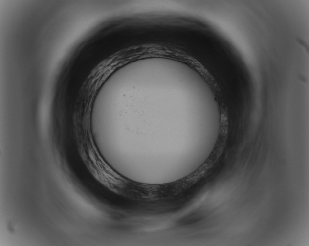 X0000093460765200710120950