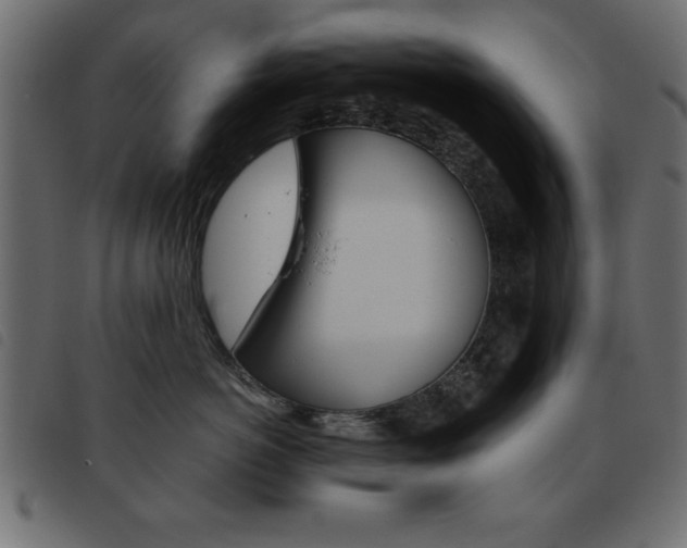 X0000093460766200710120950