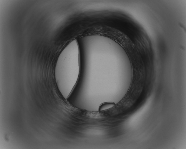 X0000093460767200710120950