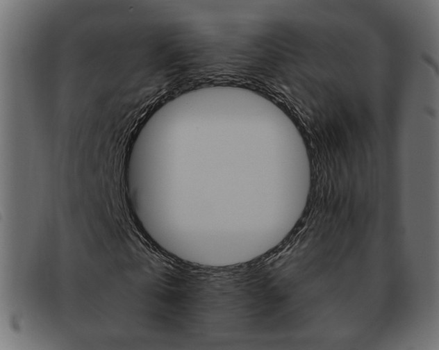 X0000093460769200710120949