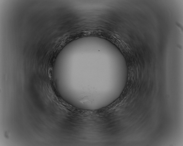 X0000093460770200710120949