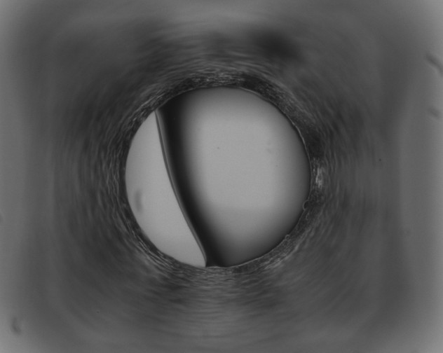 X0000093460771200710120949