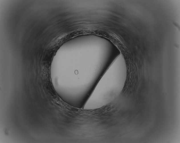 X0000093460773200710120949