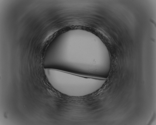 X0000093460775200710120949