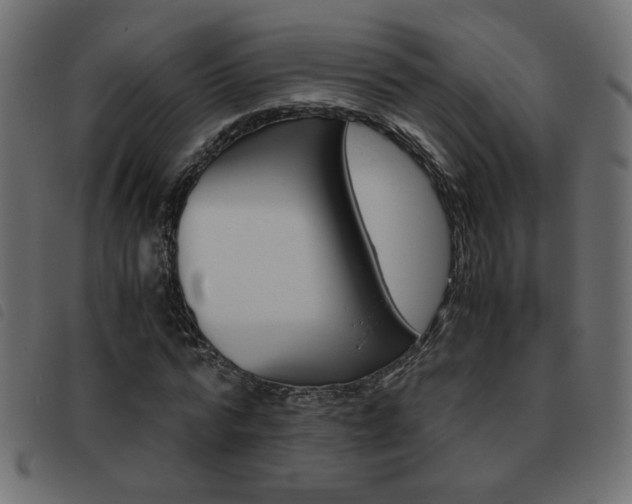 X0000093460776200710120949