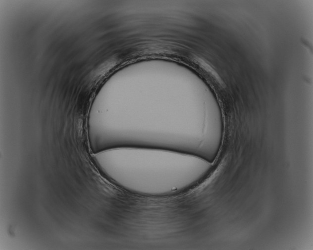 X0000093460777200710120949