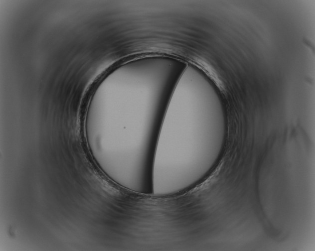 X0000093460780200710120949