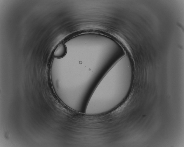 X0000093460783200710120949