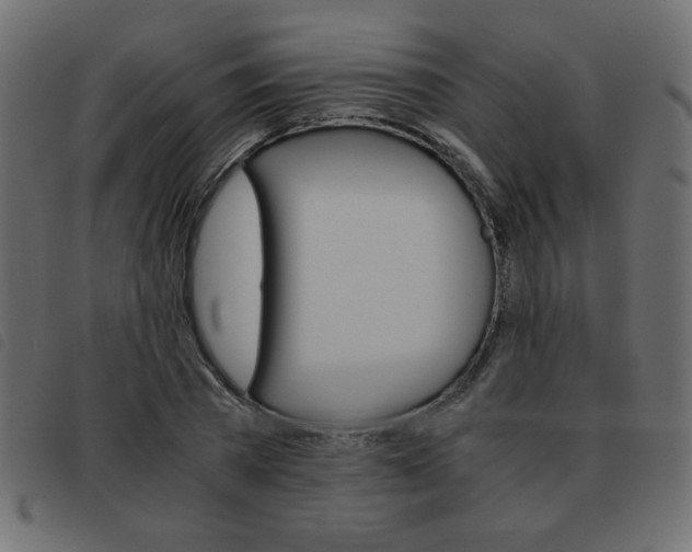 X0000093460785200710120949