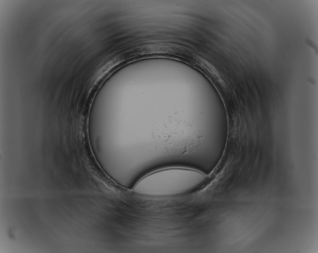 X0000093460786200710120949