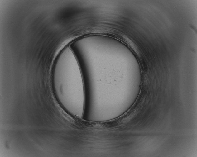 X0000093460787200710120949