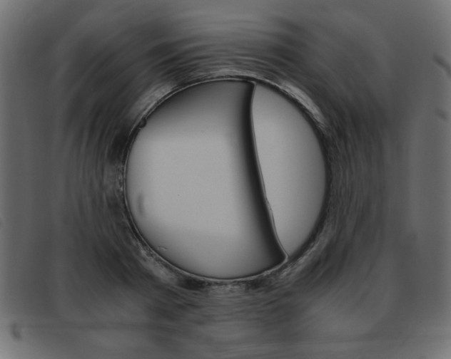 X0000093460793200710120949