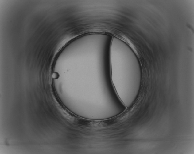 X0000093460795200710120949