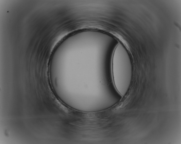 X0000093460799200710120949
