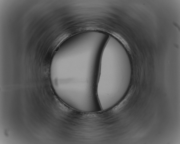 X0000093460801200710120949