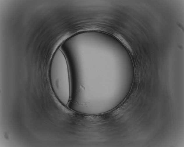 X0000093460805200710120948