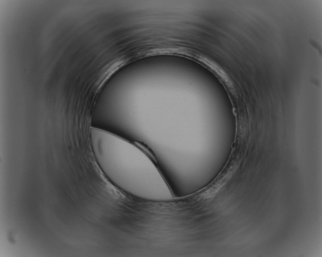 X0000093460809200710120948