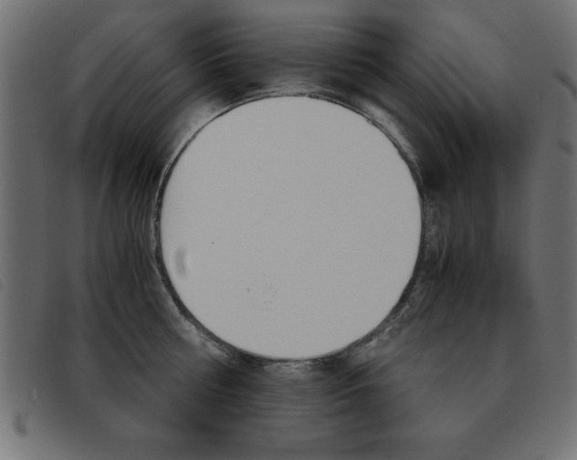 X0000093460810200710120948