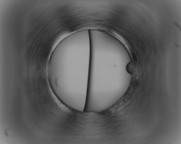 X0000093460811200710120948