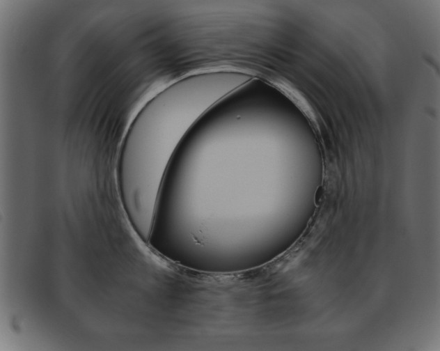 X0000093460813200710120948
