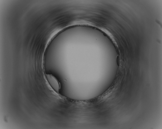 X0000093460815200710120948