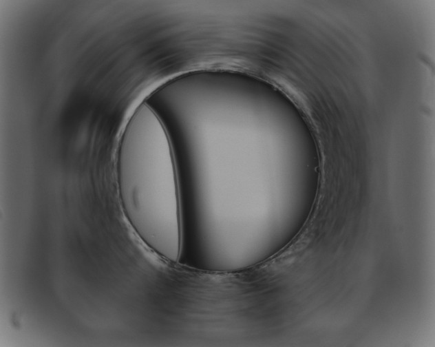 X0000093460816200710120948