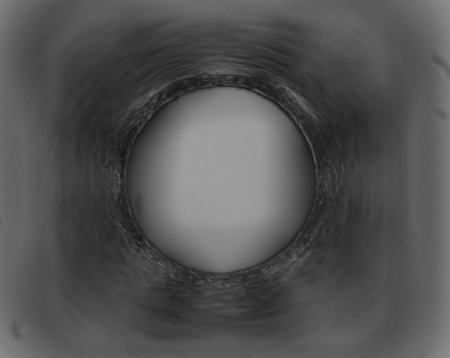 X0000093460821200710120948