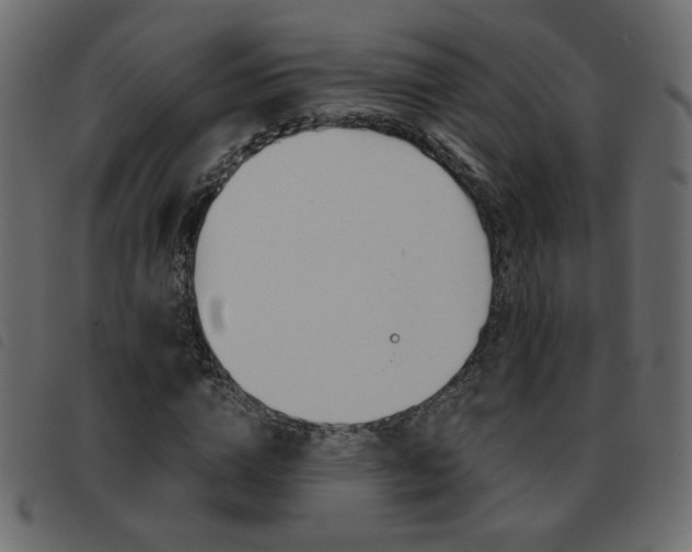X0000093460824200710120948