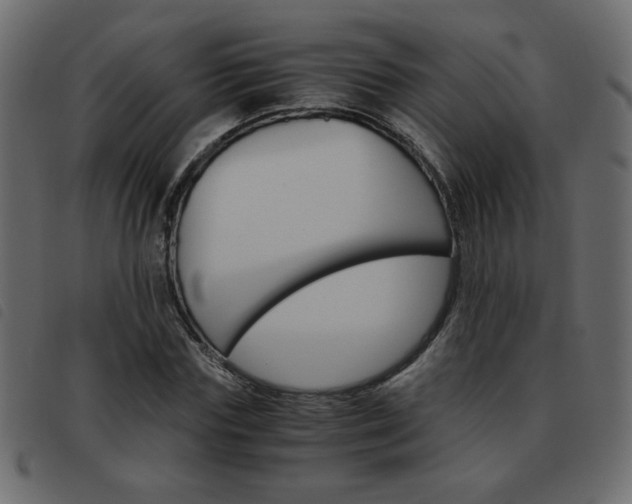 X0000093460827200710120948