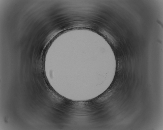 X0000093460828200710120948