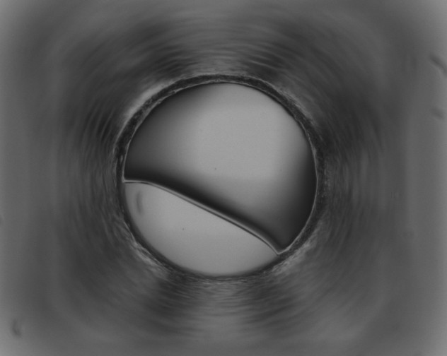 X0000093460830200710120948