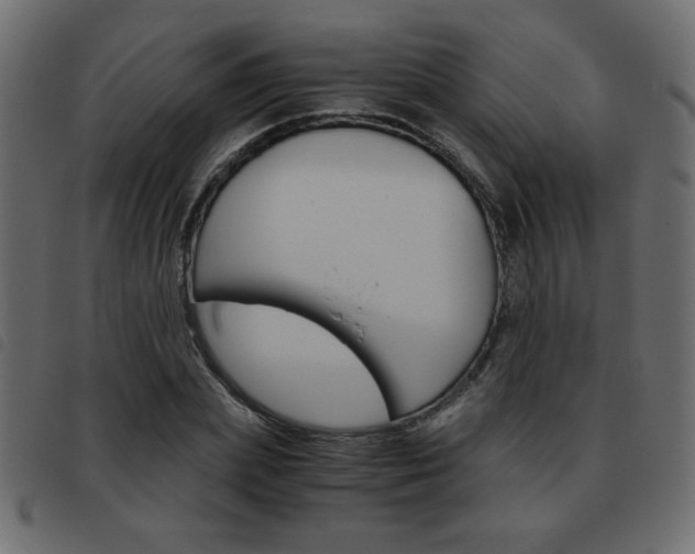 X0000093460831200710120948