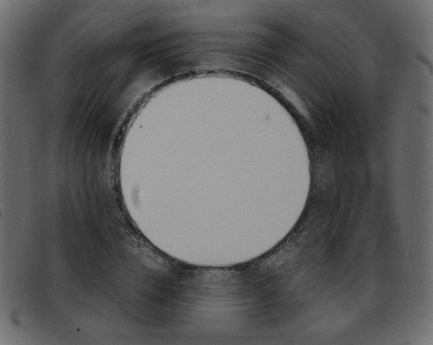 X0000093460832200710120948