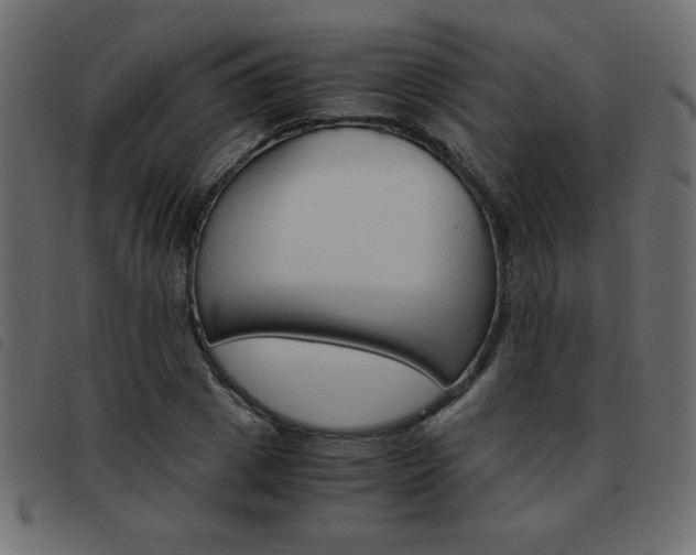 X0000093460833200710120948