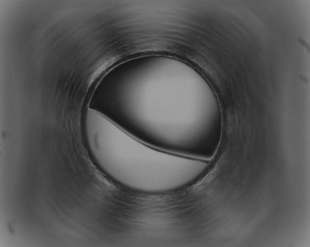 X0000093460834200710120948