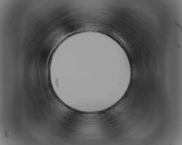 X0000093460836200710120948