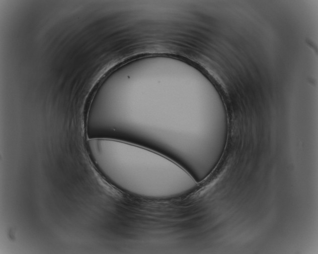 X0000093460837200710120948