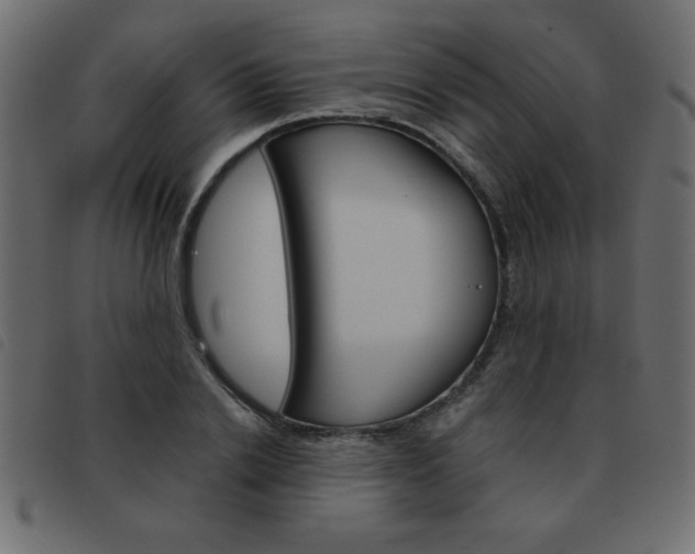 X0000093460838200710120948